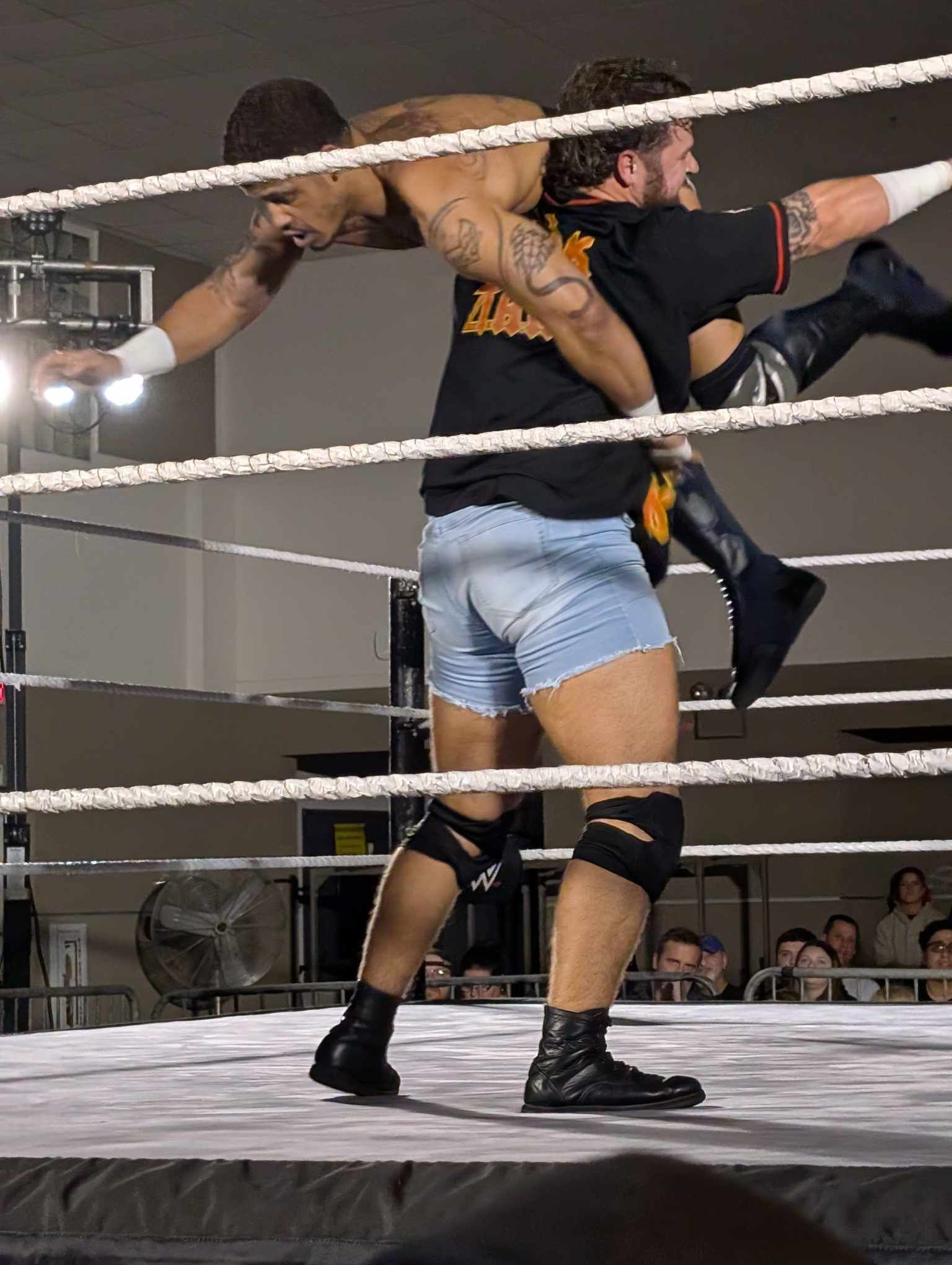 Professional wrestling live action